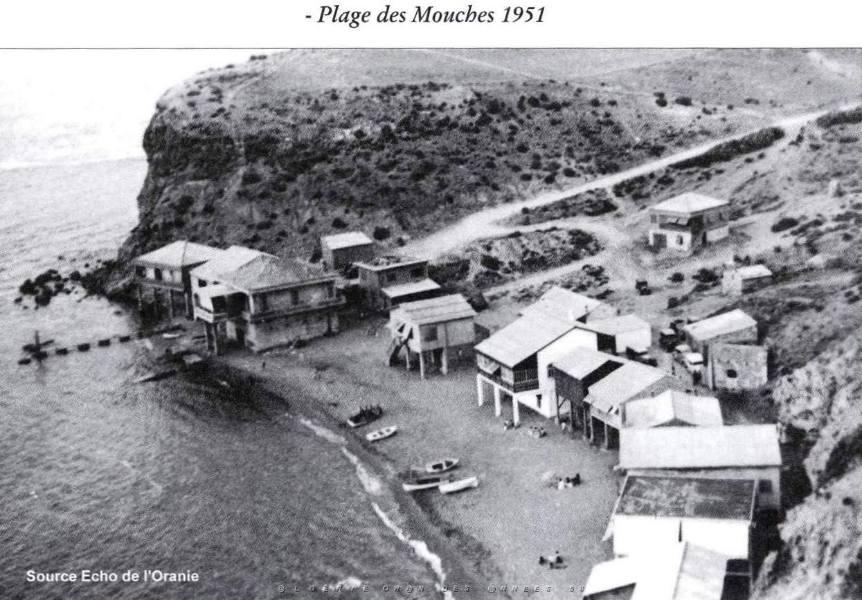 CO jj- 01 Ain temouchent.JPG